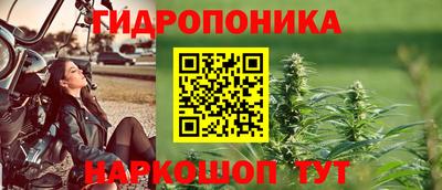 индика Наро-Фоминск