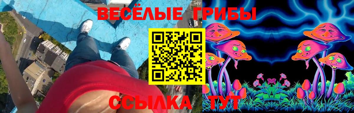 Галлюциногенные грибы GOLDEN TEACHER Улан-Удэ