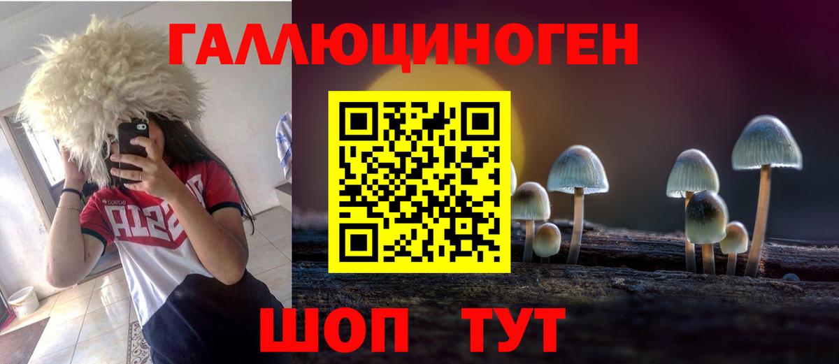 Псилоцибиновые грибы прущие грибы  Вход с VPN  Псилоцибиновые грибы мухоморы  Улан-Удэ 